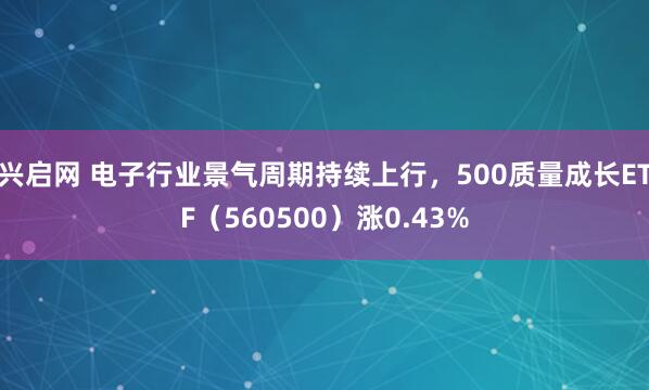 兴启网 电子行业景气周期持续上行，500质量成长ETF（560500）涨0.43%