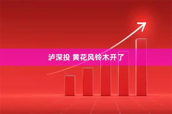 泸深投 黄花风铃木开了