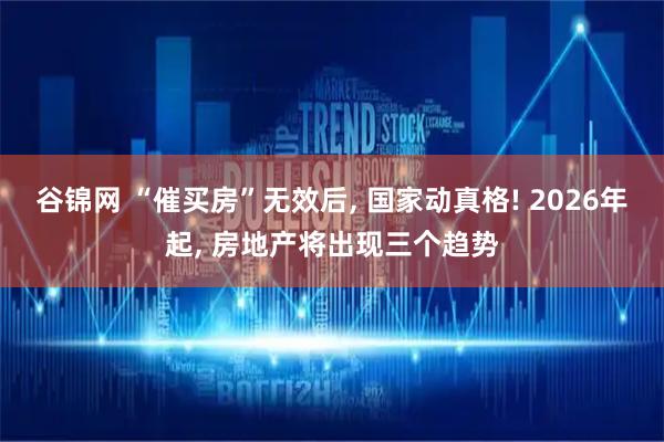 谷锦网 “催买房”无效后, 国家动真格! 2026年起, 房地产将出现三个趋势
